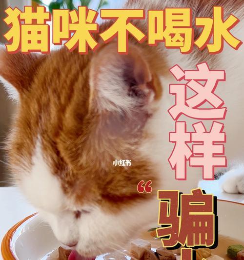 揭秘宠物猫尿油现象（为何有些猫尿会变成油状？专家解答你的疑惑）