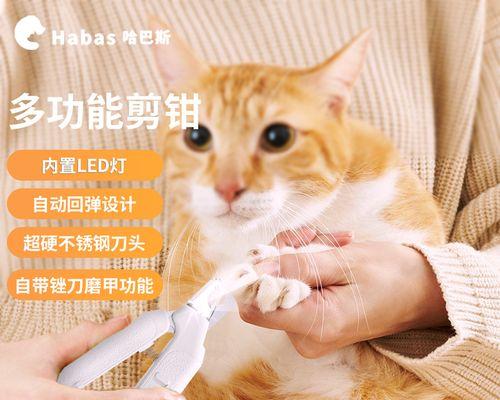 猫咪指甲剪裁技巧大全（掌握正确方法，让你的宠物更健康）