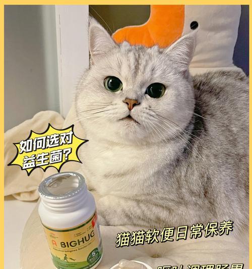 用宝宝的益生菌给猫咪补充营养（为你的猫咪带来更好的健康）