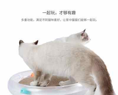 被猫咪爪子划破了，该怎么办？（宠物猫咪的爪子伤害、清洁和预防）