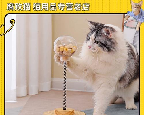 小猫咪抓破口怎么办？–宠物护理知识（给您的爱宠提供的伤口护理方法）