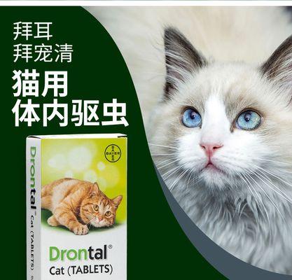 猫咪吃打虫药后大便血的原因与应对（打虫药注意事项）