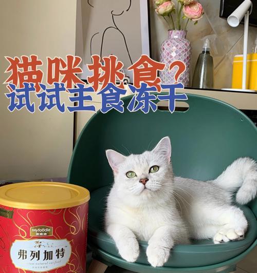 如何让你的爱猫健康地享用美味的冻干鸡心（如何让你的爱猫健康地享用美味的冻干鸡心）