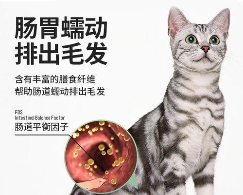 猫咪误食化毛膏，你知道该怎么做吗（掌握正确处理方法）