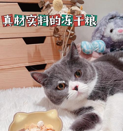 猫咪突然吃不下猫粮怎么办（一只爱吃的猫咪变得不爱吃猫粮的原因及解决方法）