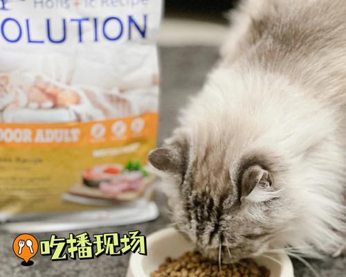 猫咪肠胃健康食谱大揭秘（从猫咪口味到营养成分）