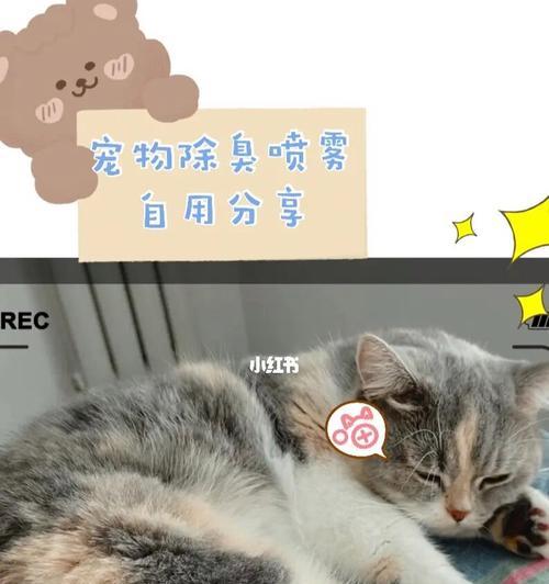 猫咪吐药怎么办（遇到猫咪吐药）