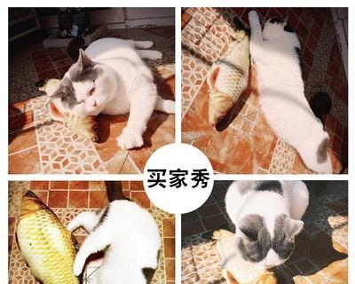 猫咪为何喜欢吃鱼肉（探究猫咪的饮食习惯和偏好）