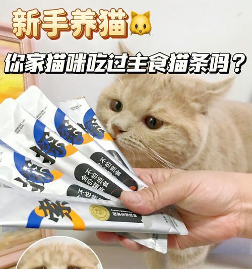 揭秘猫咪吃主食总甩头的原因（探寻猫咪吃饭甩头的奥秘）