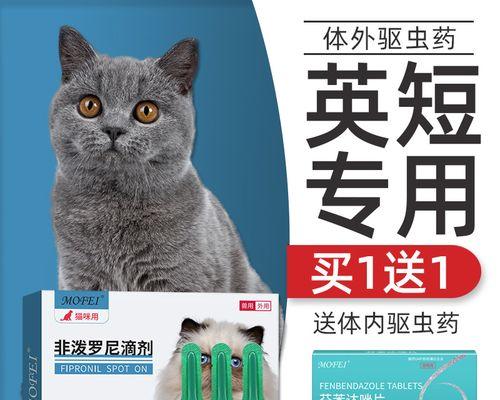 猫咪进攻（猫咪攻击主人）