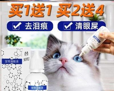 给宠物猫咪使用眼药水的正确方法（关爱宠物眼睛）