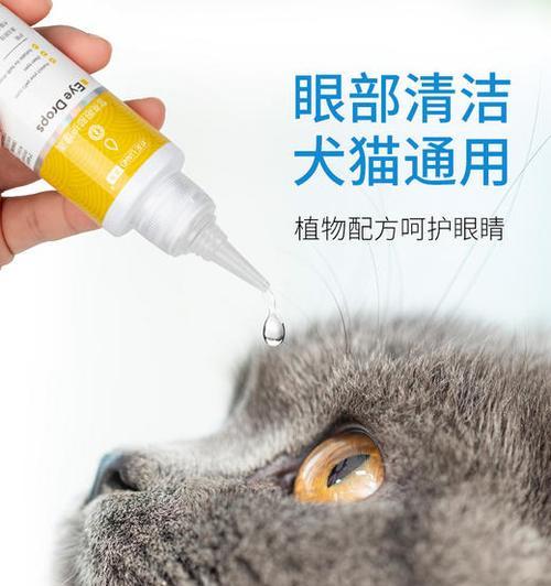 给宠物猫咪使用眼药水的正确方法（关爱宠物眼睛）