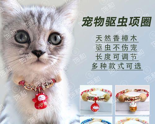 猫咪戴项圈好吗（探讨项圈对猫咪的影响及选购建议）