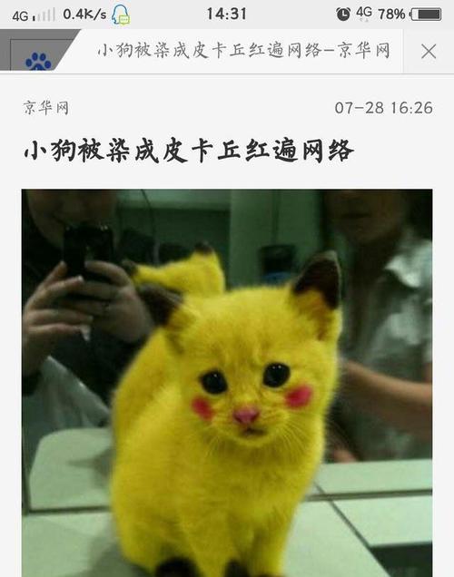 银行的“萌猫形象”之道（探寻银行萌猫代言的背后故事）