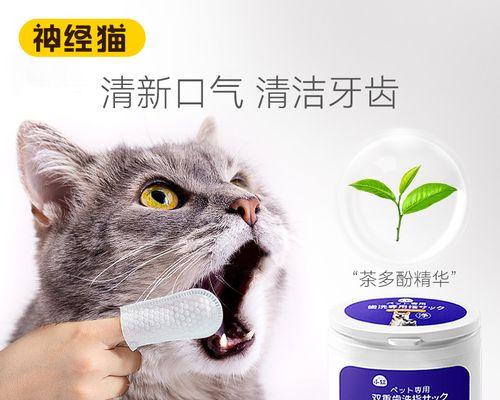 猫咪狗牙断了一半，要注意什么（宠物牙齿护理的重要性与解决方法）