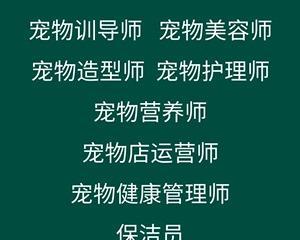 如何办理猫咪健康证（了解宠物健康证的重要性及办理流程）