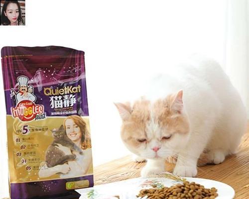 挑选适合猫咪的猫粮，这些品牌不容错过（小猫咪吃什么）