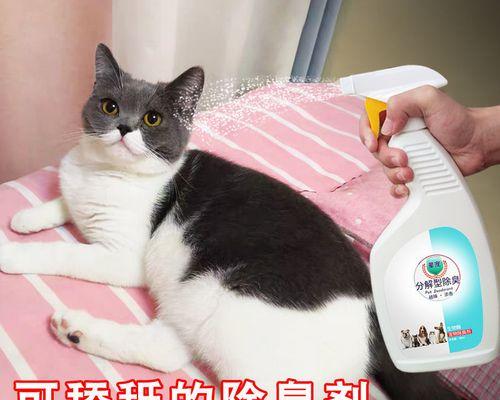 揭秘猫咪尿的真相（了解猫咪尿液的成分和特征）