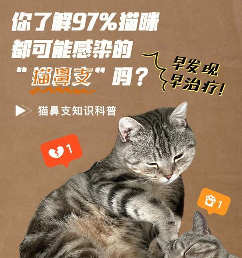 猫咪的气管炎——猫咪的呼吸困难之苦（探究猫咪的气管炎症状及其预防）