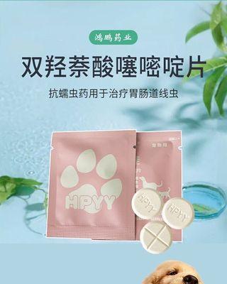 猫咪驱虫药是否适合给狗狗使用（宠物健康需谨慎）