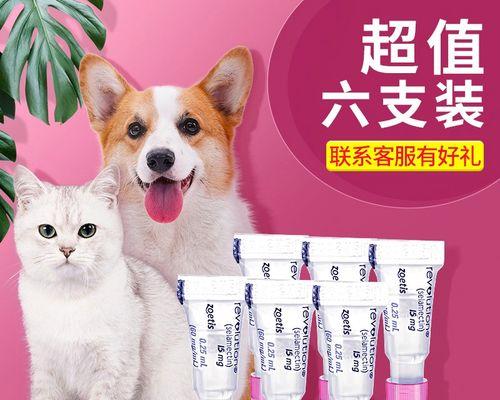 猫咪驱虫药是否适合给狗狗使用（宠物健康需谨慎）