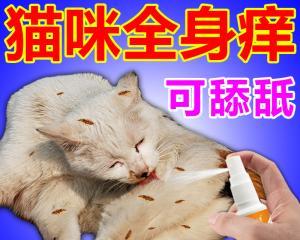 揭秘猫咪跳蚤繁殖奥秘（探究猫咪跳蚤下蛋的生命周期及防治方法）