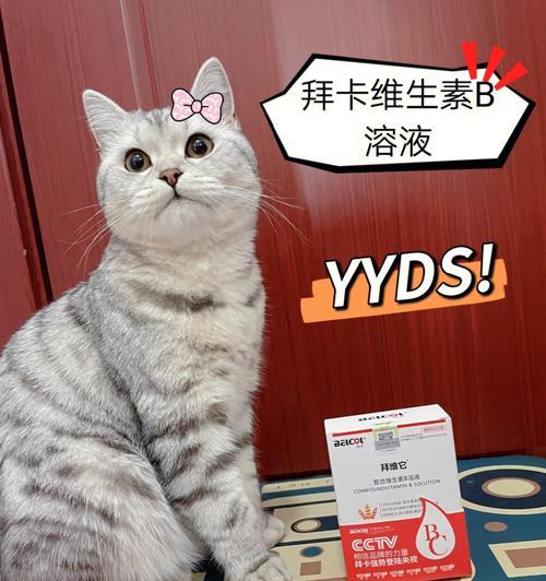 如何正确地为宠物猫补充维生素（宠物猫维生素缺乏的危害与补充方法）