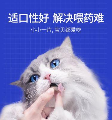 如何清洗猫咪的小便（掌握这些技巧）