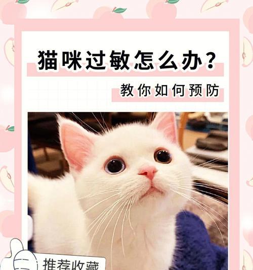 如何预防和治疗猫咪异位性皮炎（以宠物为主）