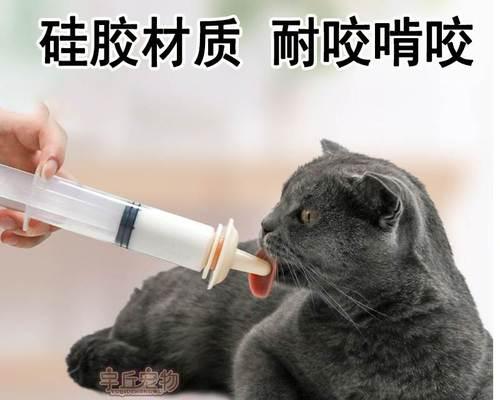 猫咪手术签字指南（如何为爱宠签字）