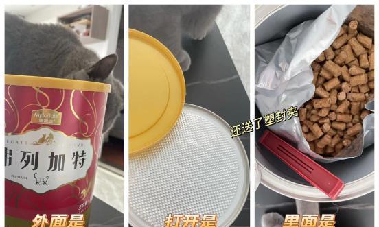 如何正确喂养猫咪冻干食品（掌握喂食量）