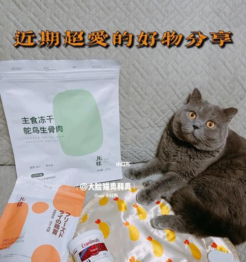 如何正确喂养猫咪冻干食品（掌握喂食量）