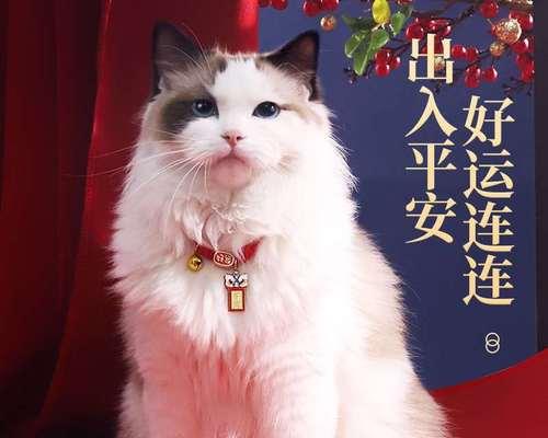 猫咪怀孕期长短及注意事项（了解猫咪怀孕周期）