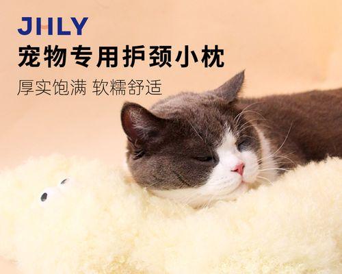 宠物猫咪打，需慎重（正确掌握猫咪的时间和方法）