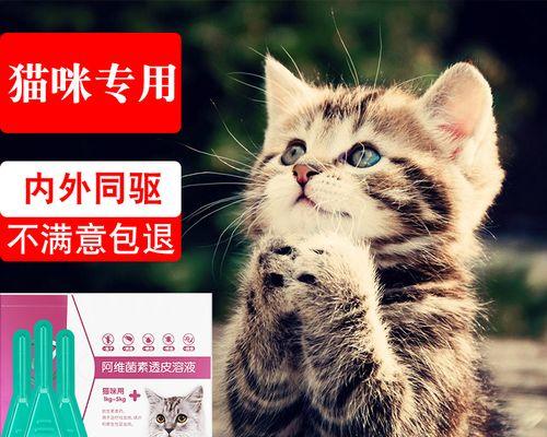 猫咪体外驱虫周期剖析（掌握驱虫时间）