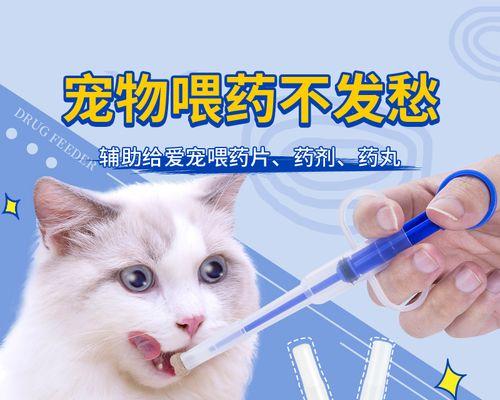 猫咪体内驱虫周期详解（宠物健康必备知识）