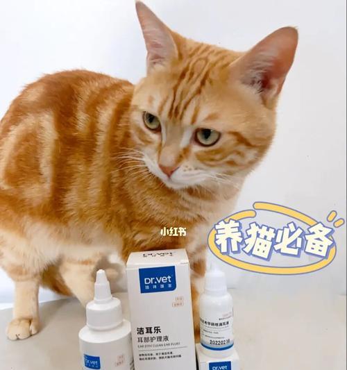 猫咪耳道息肉手术全面解析