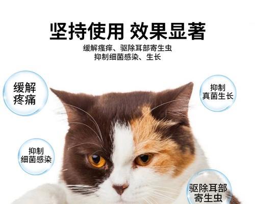 猫咪耳朵发炎必须知道的事情（了解宠物常见病）