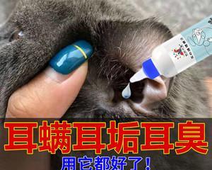 猫咪耳朵发炎必须知道的事情（了解宠物常见病）