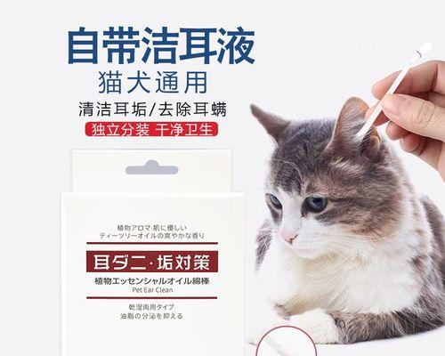 如何正确清洗猫咪耳朵（宠物保健必备）