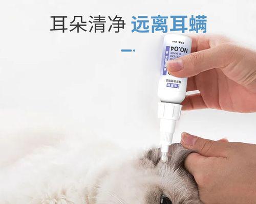 如何治疗猫咪耳朵萎缩（宠物猫咪的耳朵健康保护）