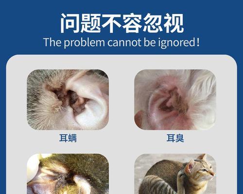 猫咪耳螨治疗不愈的原因与解决方法（探究耳螨病症状）