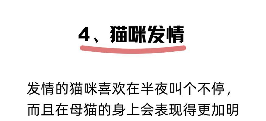 如何减少猫咪发情时的叫声（探讨宠物主人如何帮助猫咪度过发情期）