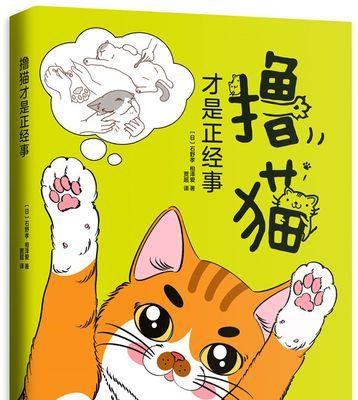 猫咪呕吐，如何应对（揭秘猫咪呕吐的原因及治疗方法）