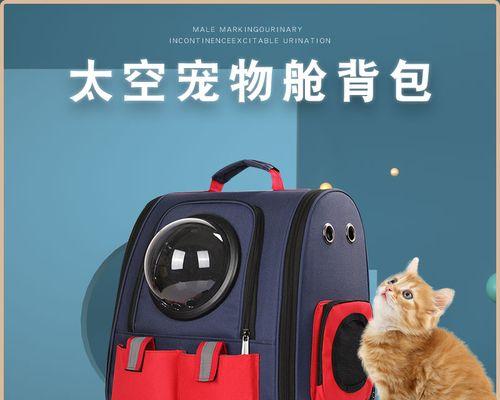 猫咪呕吐，如何应对（揭秘猫咪呕吐的原因及治疗方法）