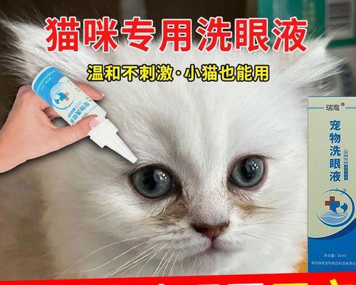 猫咪眼部保健（如何选择适合猫咪的滴眼液）