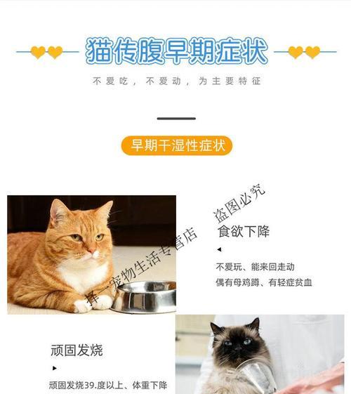 猫咪腹膜炎引起便秘的原因及治疗方法（宠物主人必看）