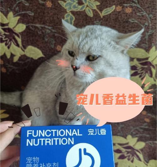 猫咪腹泻吃益生菌，这样做真的能止泻吗（从宠物健康角度探究益生菌的作用）