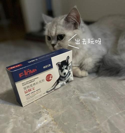 猫咪腹泻呕吐怎么办（针对猫咪腹泻呕吐的治疗方法和药物）