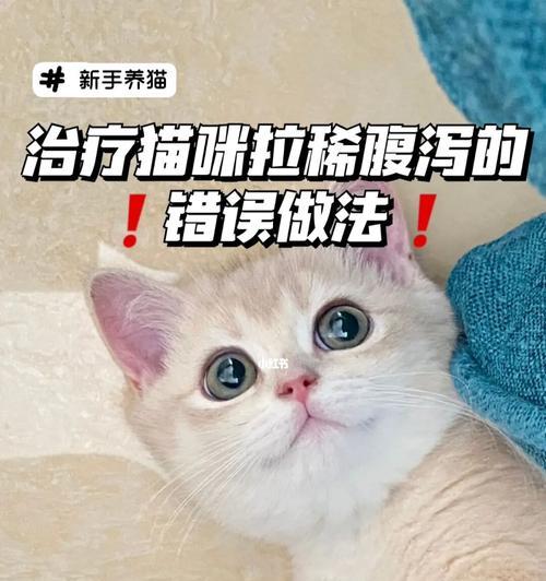 猫咪腹泻的原因及治疗方法（了解宠物的健康状况）